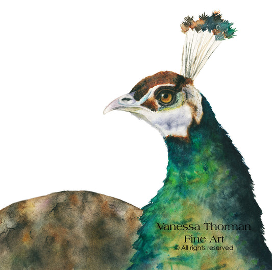 POMP & CIRCUMSTANCE | Peacock Original Watercolor Painting