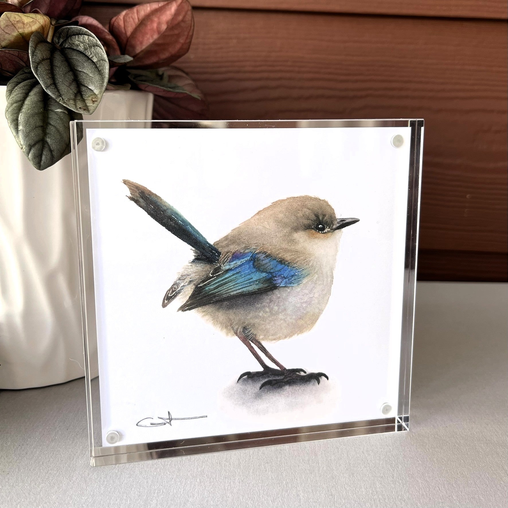Acrylic block print of a fairywren bird 