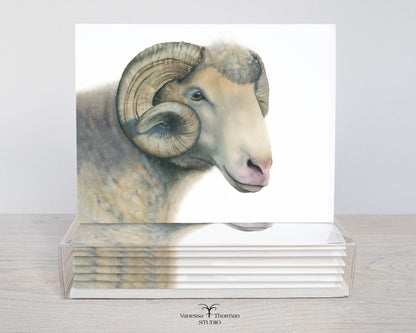 Dorset Horn Ram Notecards | UNC Tar Heels Edition Blank Greeting Cards