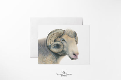 Dorset Horn Ram Notecards | UNC Tar Heels Edition Blank Greeting Cards