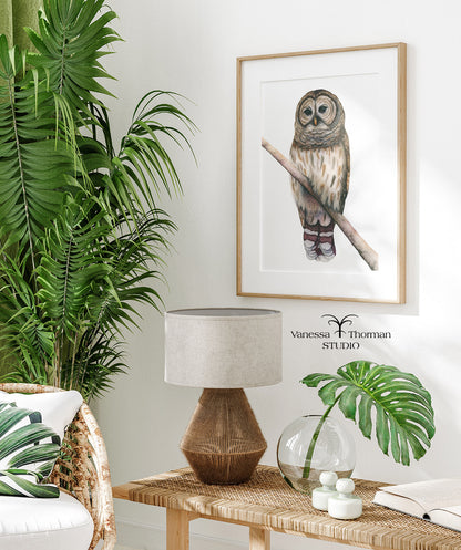Barred Owl Watercolor Art Print – Woodland Art - Fine Art Giclée