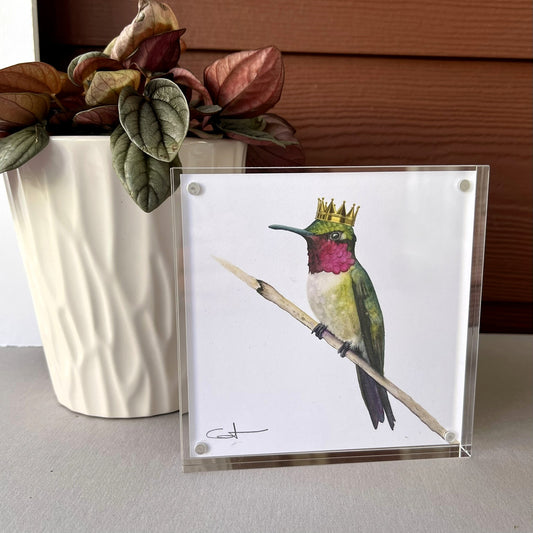 Framed desk art of a hummingbird with a crown 