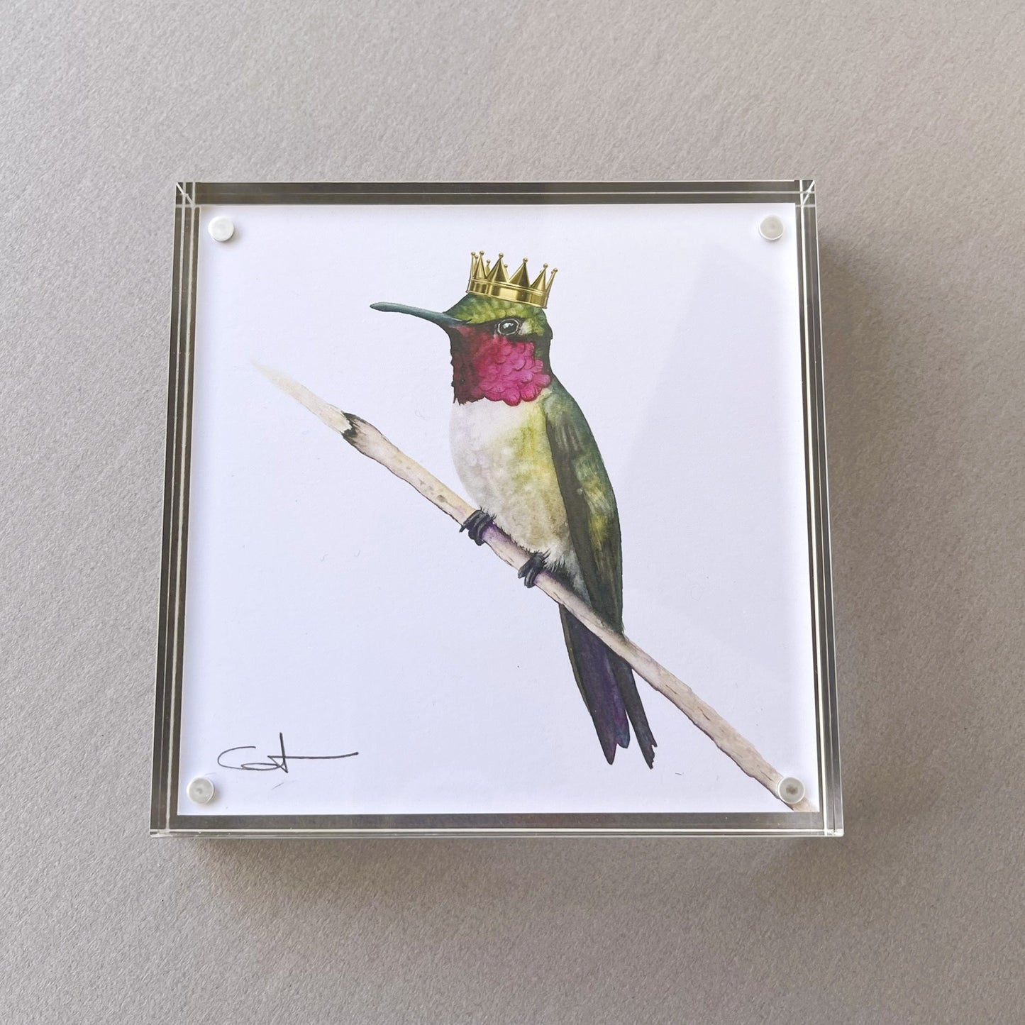 Framed desk art of a hummingbird with a crown