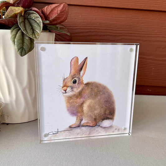 Framed desk art of a bunny 