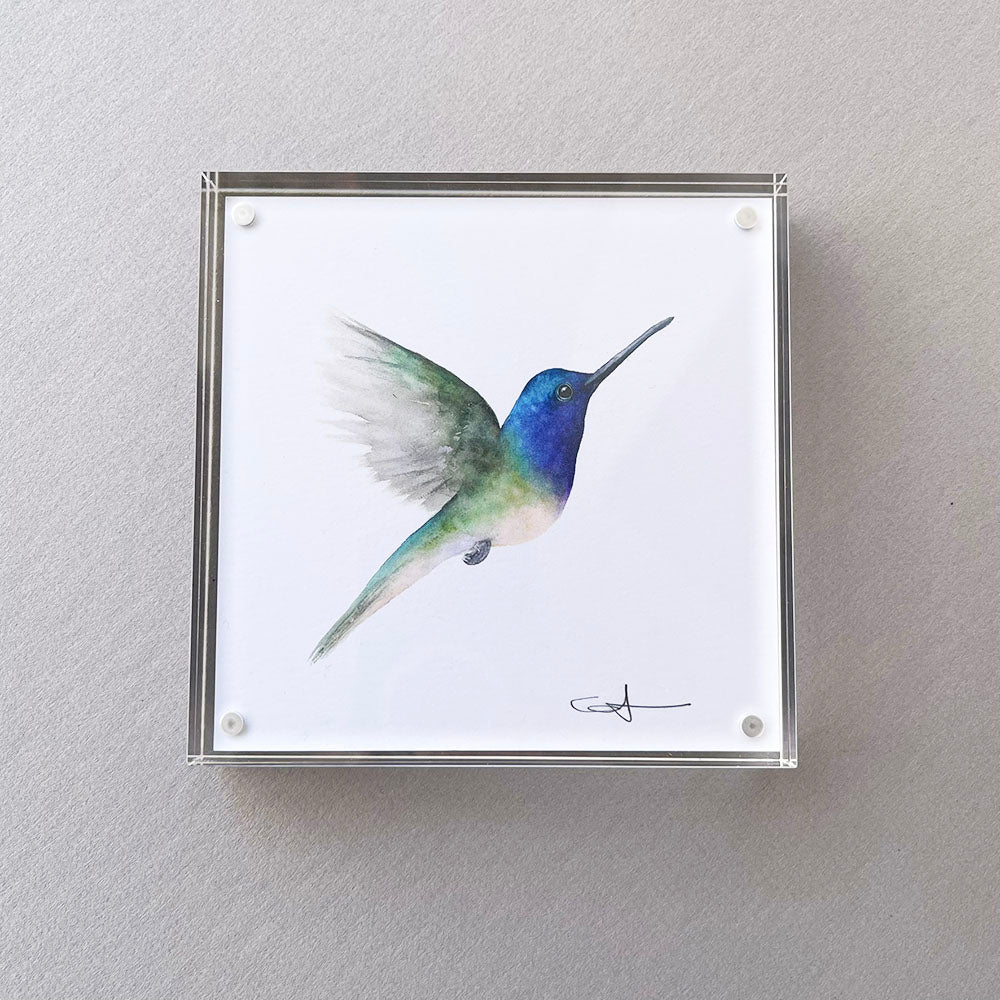 Framed dek  art of a hummingbird on a gray background