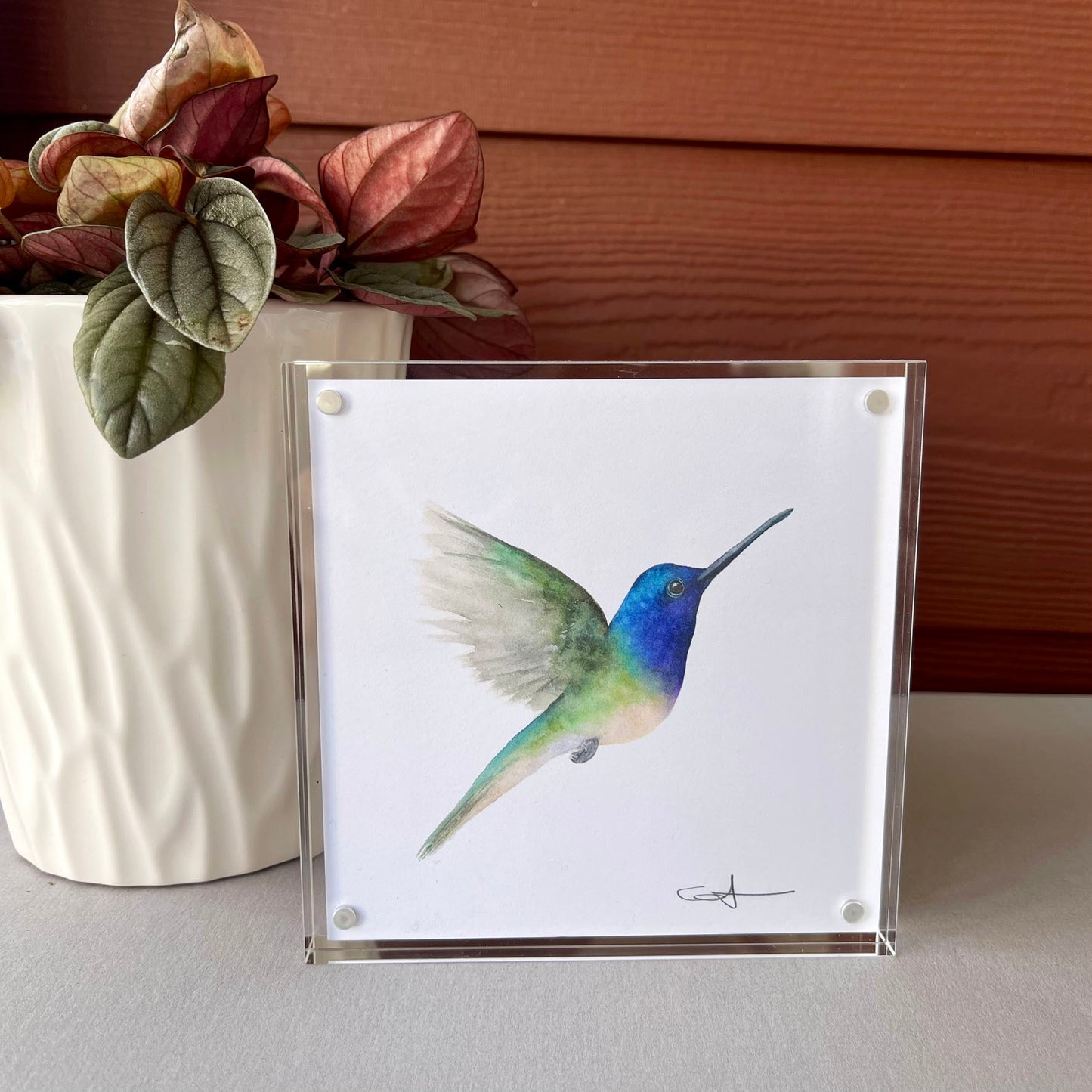 Framed illustration of a hummingbird next to a potted plant on a wooden surface.