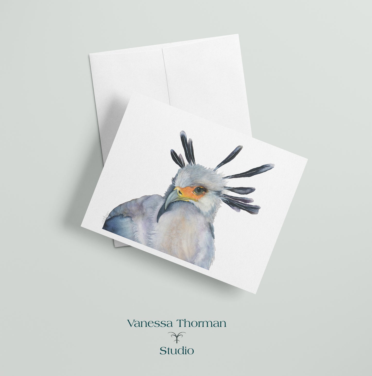 Secretarybird - Bird Note Cards