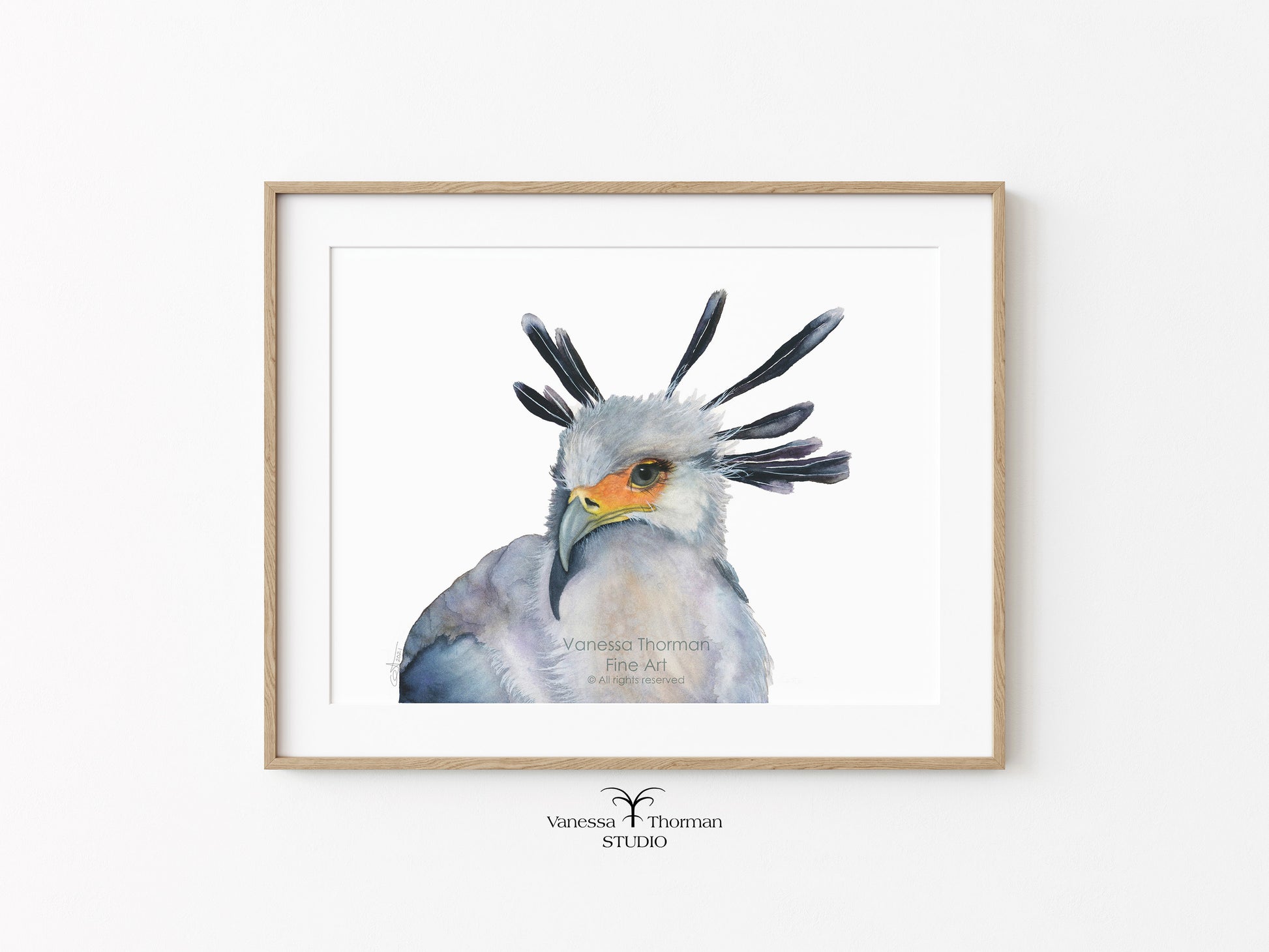 Secretarybird-Watercolor-art-print-1