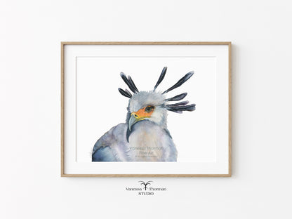 Secretarybird-Watercolor-art-print-1