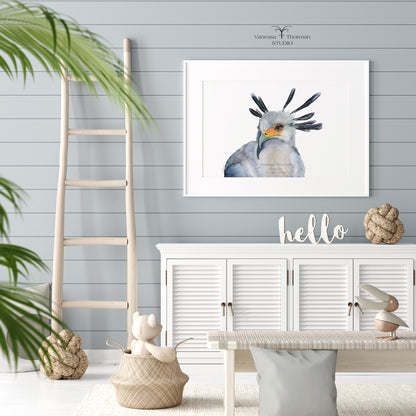 Secretarybird-Watercolor-art-print-1