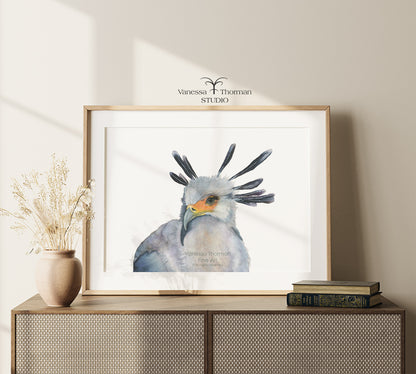 Secretarybird-Watercolor-art-print-1