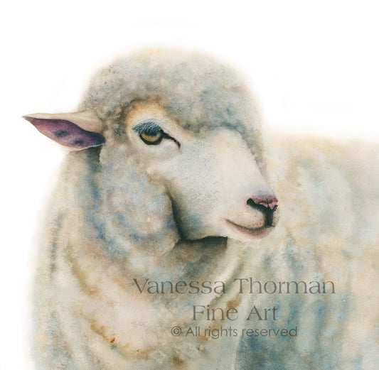 DUCHESS | Sheep Original Watercolor Painting