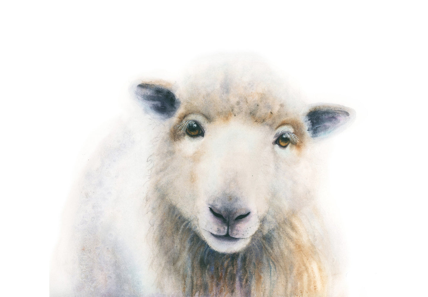 William | Sheep Watercolor Art Print | Animal Giclée Art