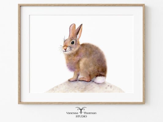 Framed artwork of a rabbit on a white background