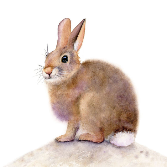 Watercolor Bunny Art Print