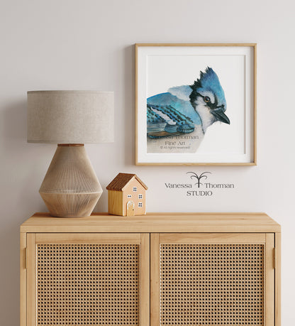 BOWIE | Blue Jay Fine Art Print