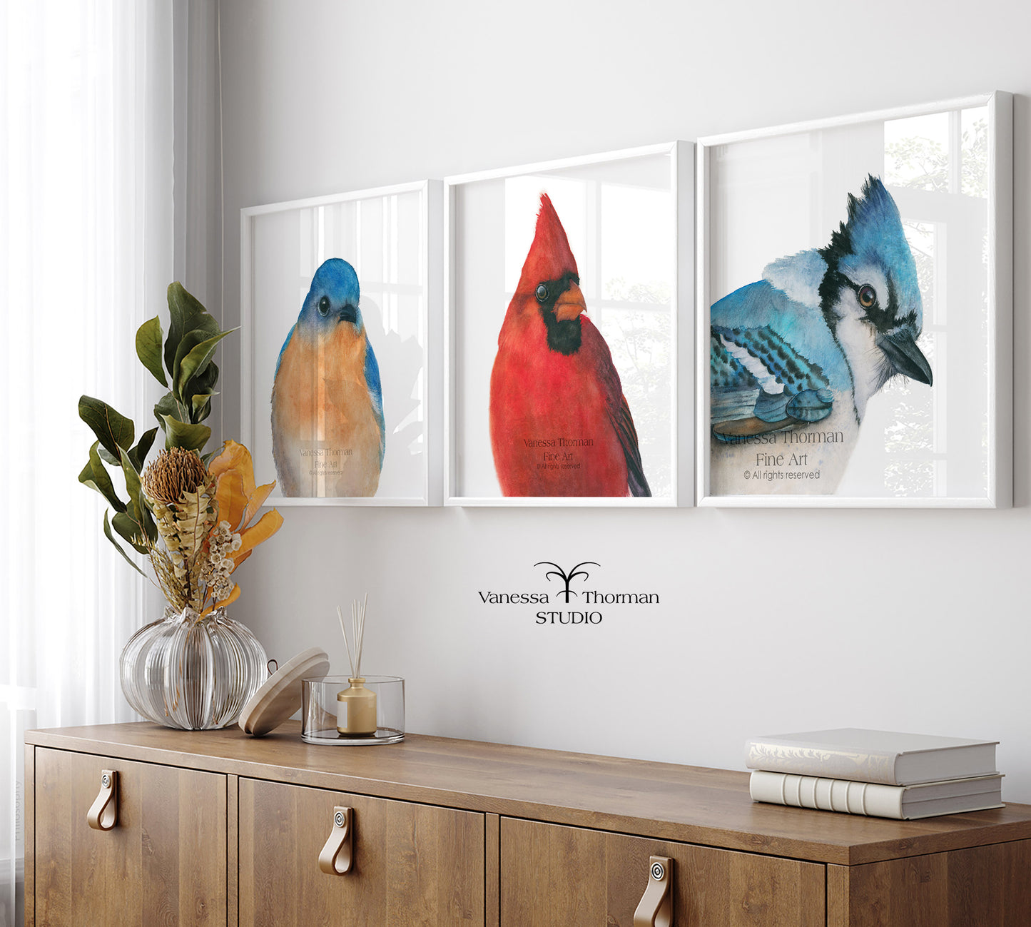 BOWIE | Blue Jay Fine Art Print
