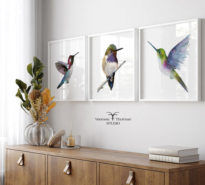 FIONA - Hummingbird Fine Art Print