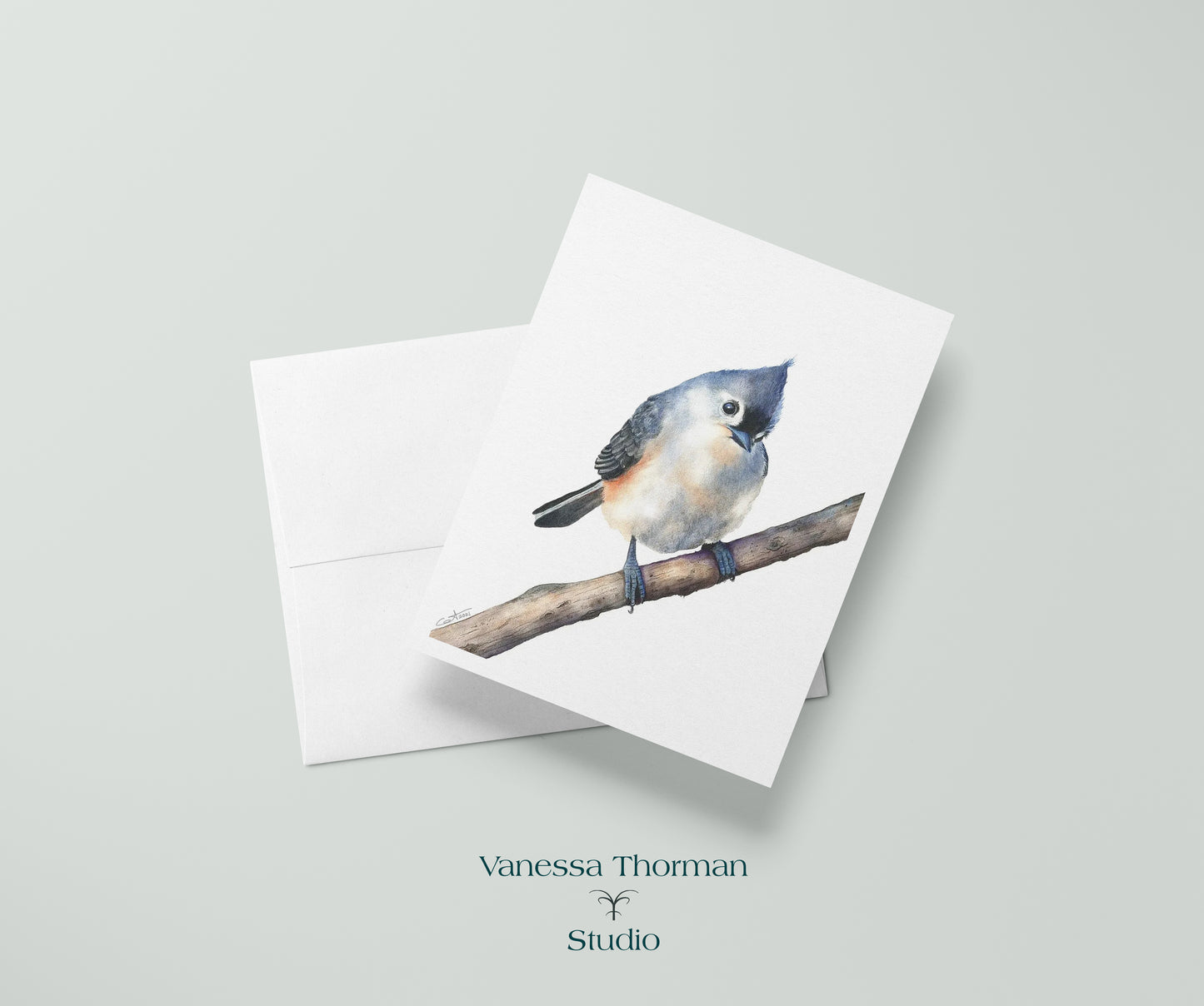 Tufted Titmouse I - Bird Note Cards