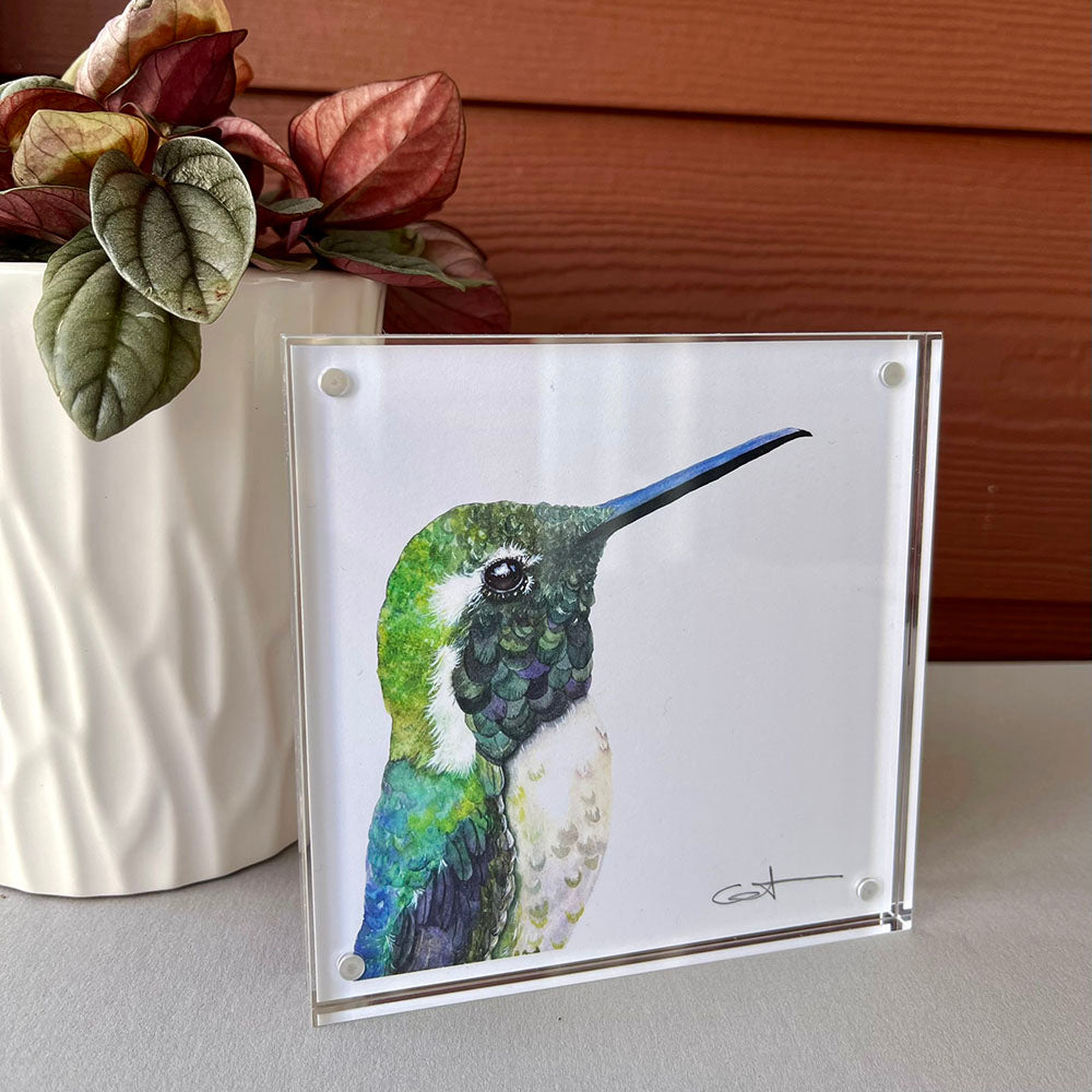 Framed desk art of a hummingbird
