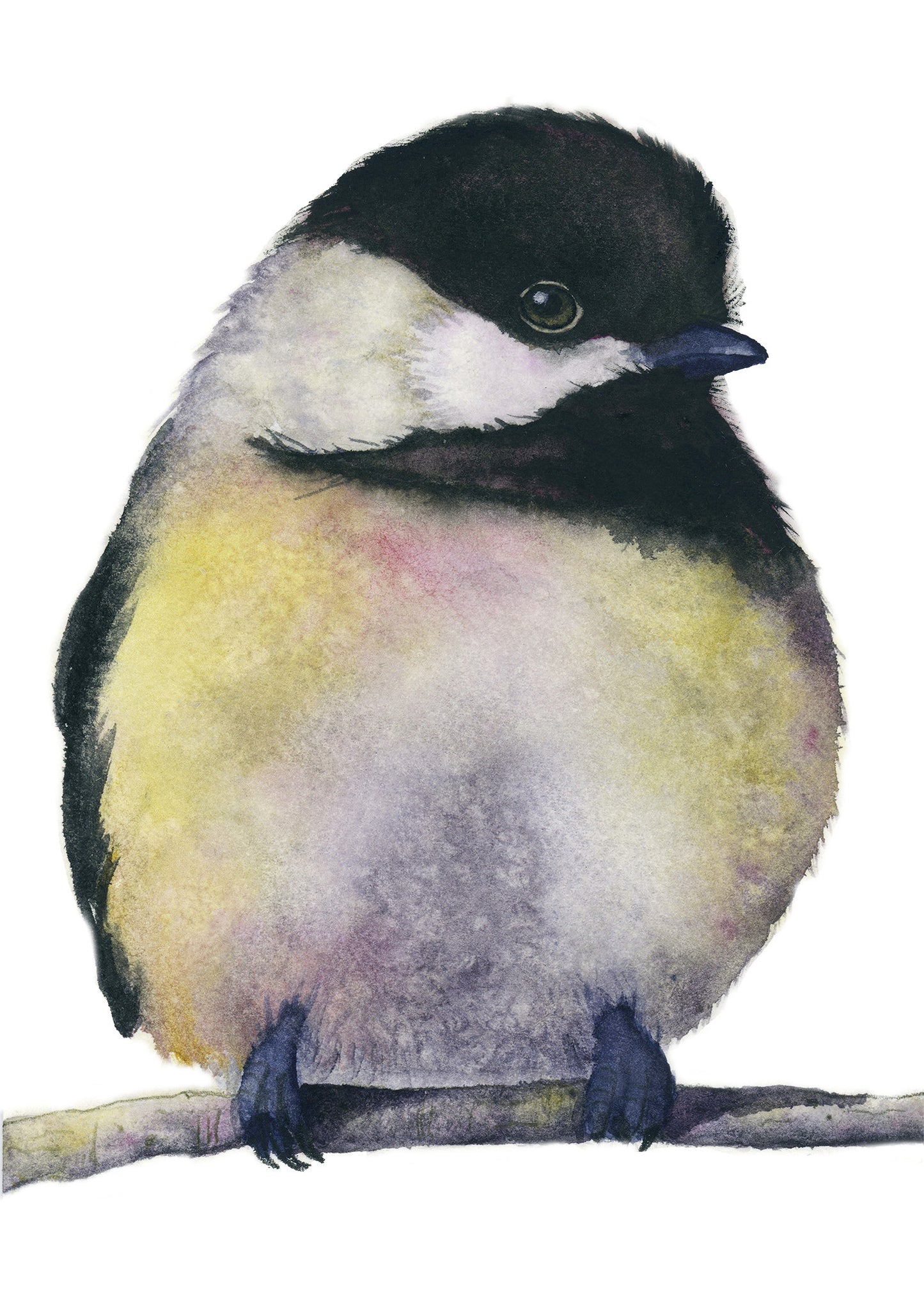 Warhol-chickadee-yellow-watercolor-art-print-1