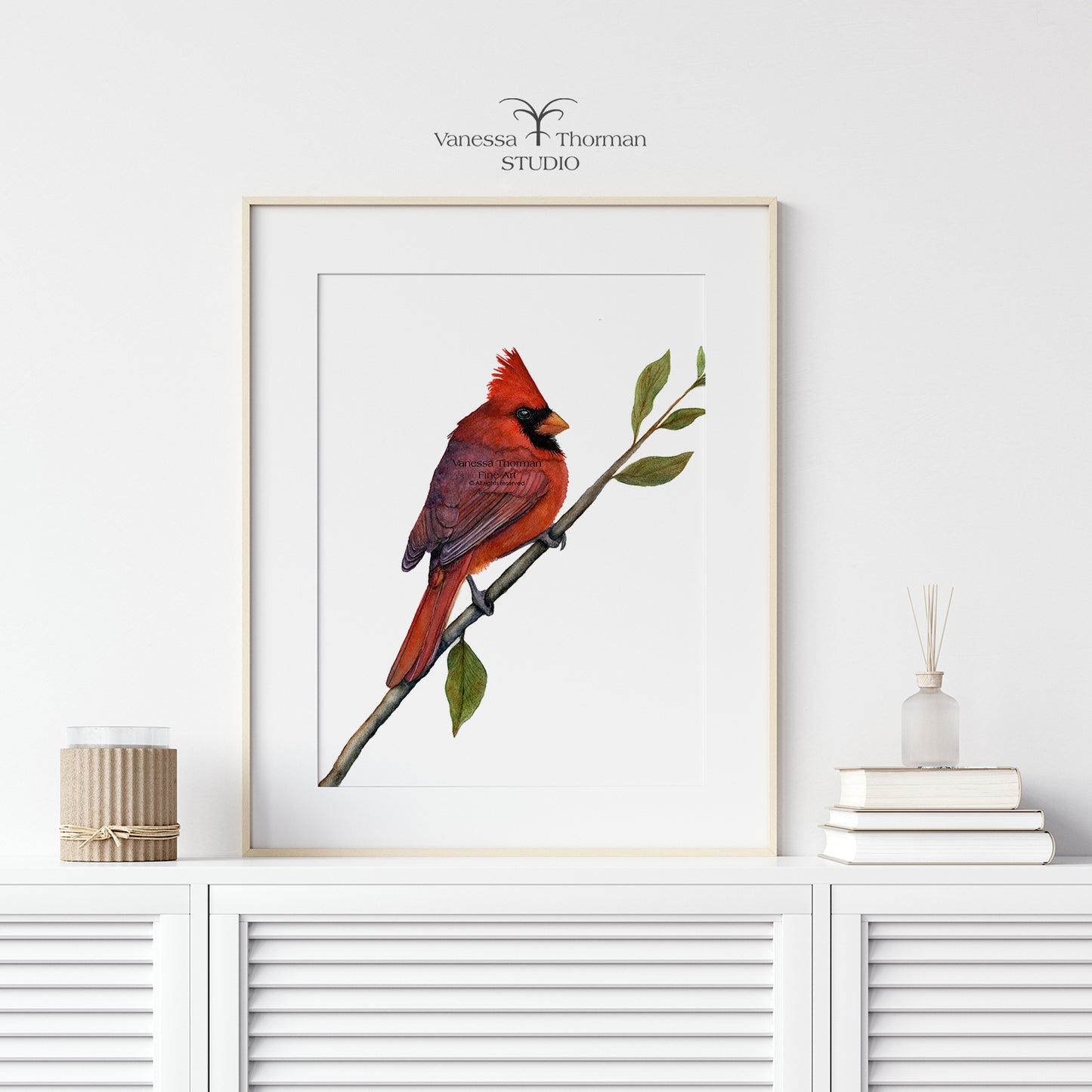 Northern Cardinal - Fine Art Print