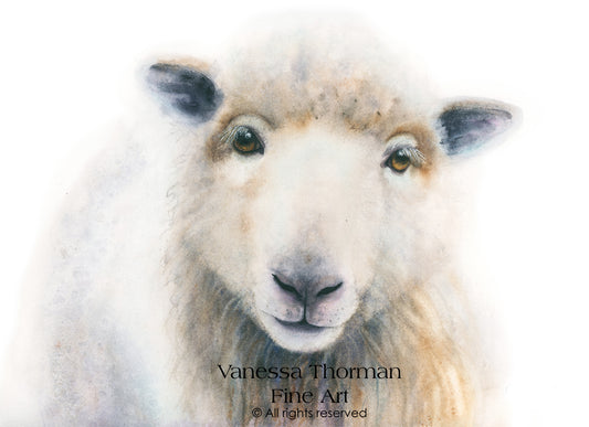 William-Sheep-watercolor-art-print-1