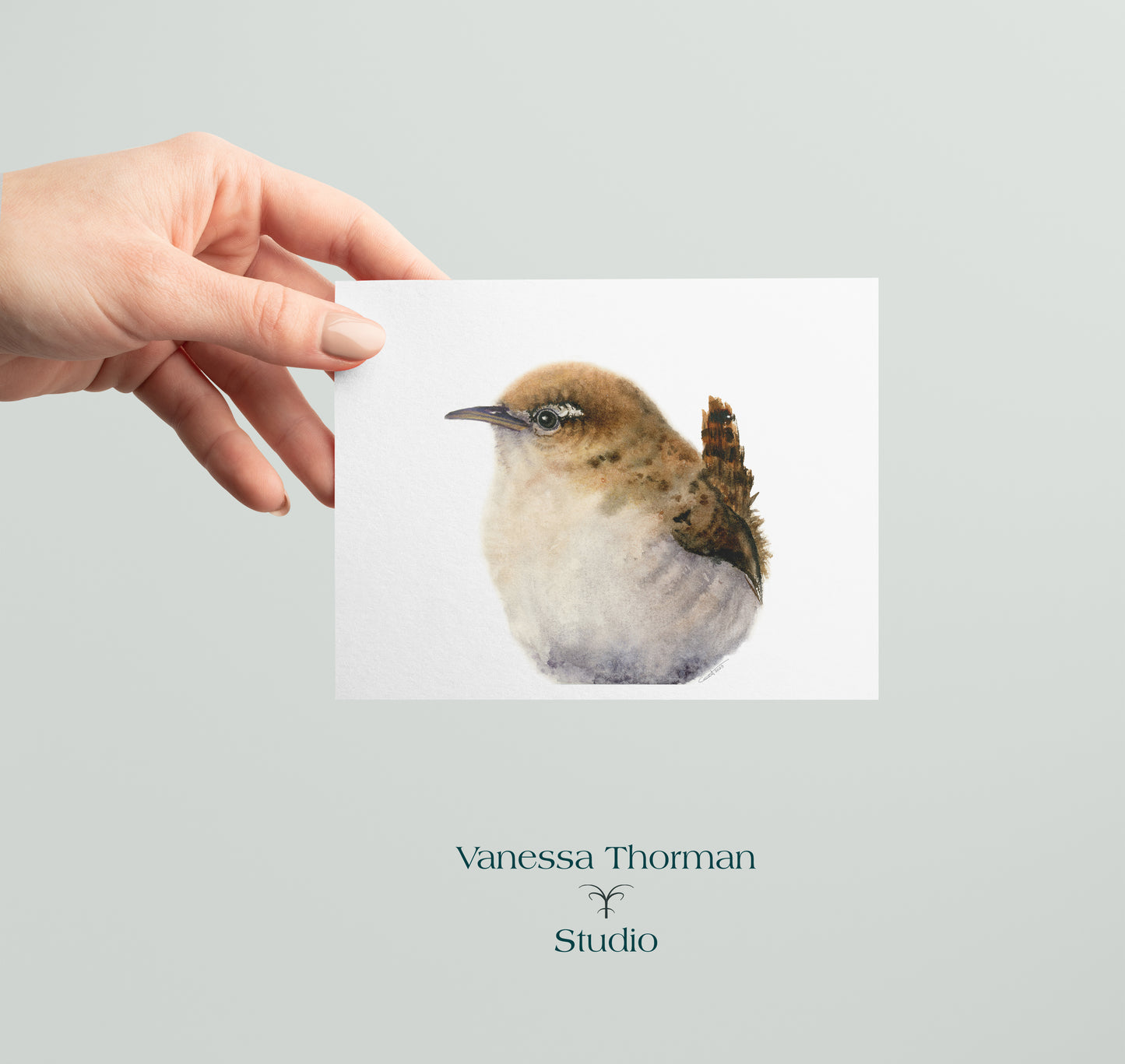 Winter Wren - Bird Note Cards