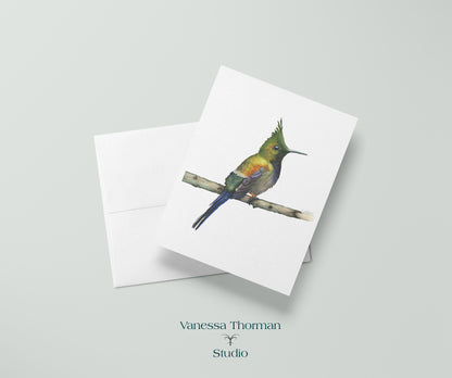 Coquette Hummingbird - Bird Note Cards
