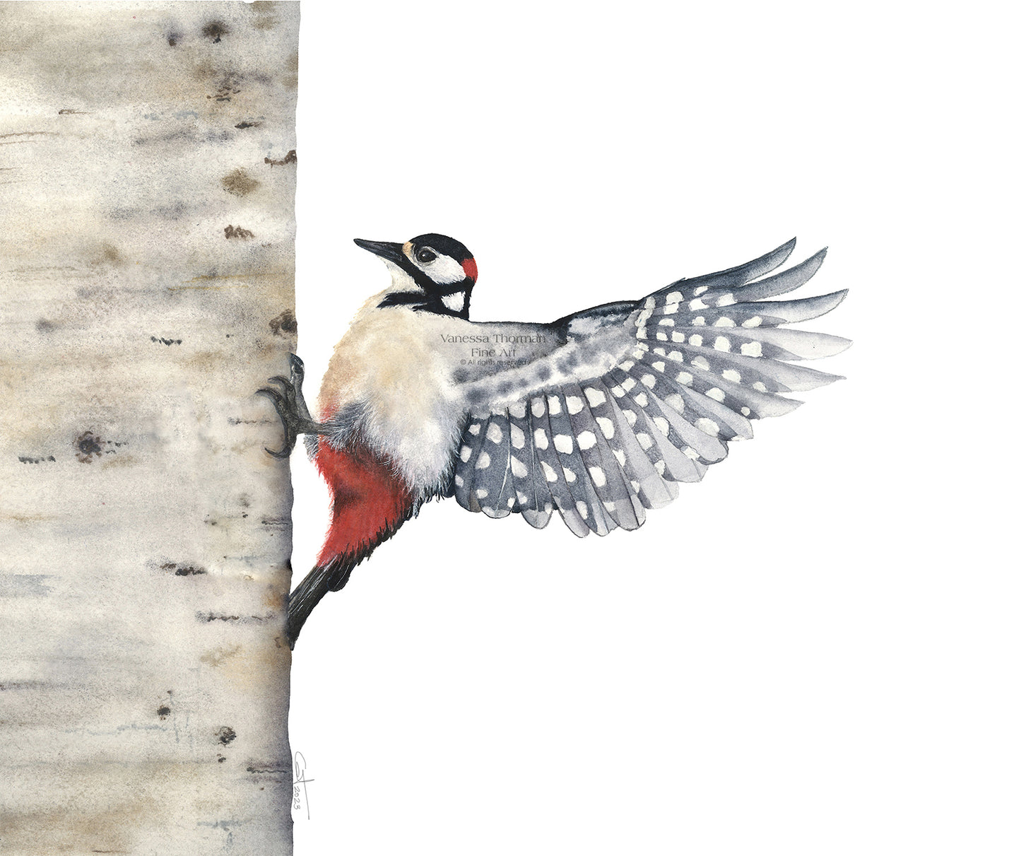 BETWEEN BEATS | Woodpecker Original Watercolor Painting
