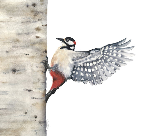 BETWEEN BEATS | Woodpecker Original Watercolor Painting