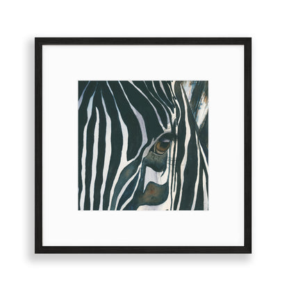 Framed Zebra Giclée Print | 20x20 Black/Brass Frame