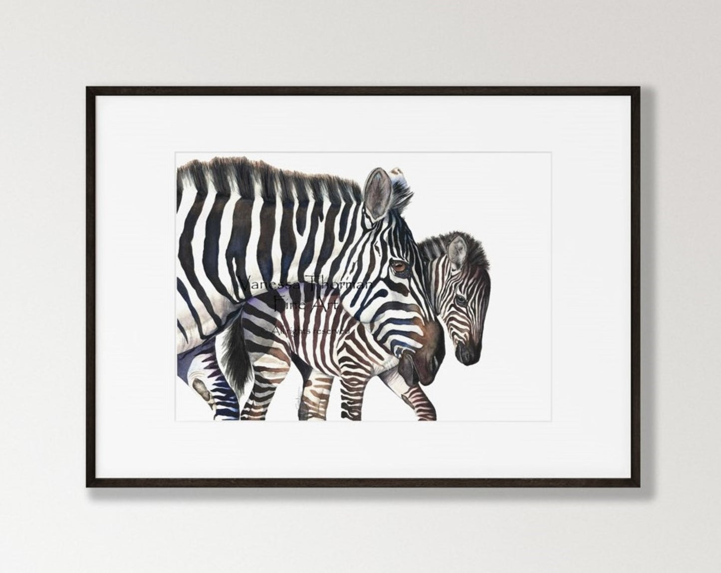 Zebras - Fine Art Print
