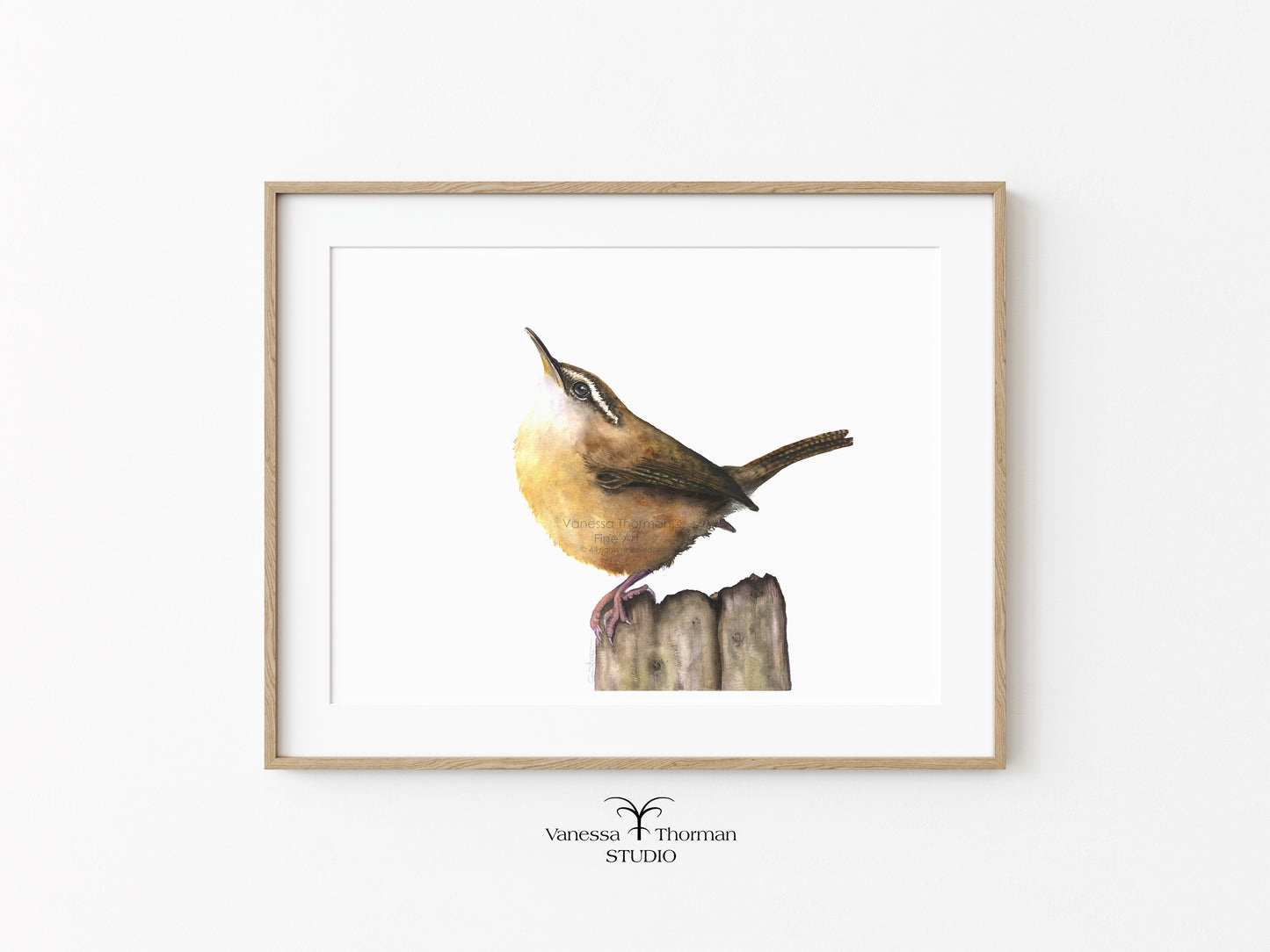 carolina-wren-watercolor-art-print-1