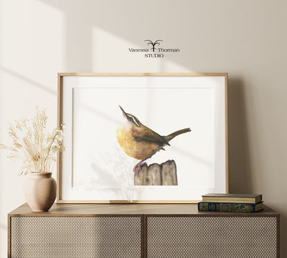 carolina-wren-watercolor-art-print
