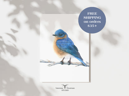 eastern-bluebird-watercolor-art-print-1