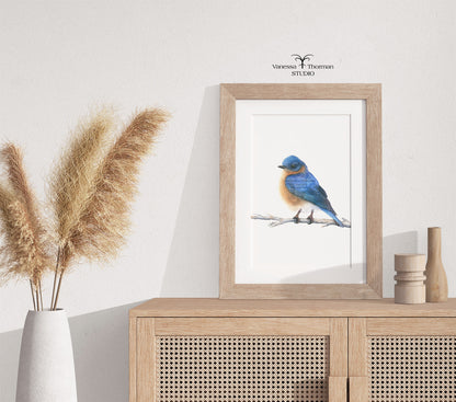 eastern-bluebird-watercolor-art-print-1