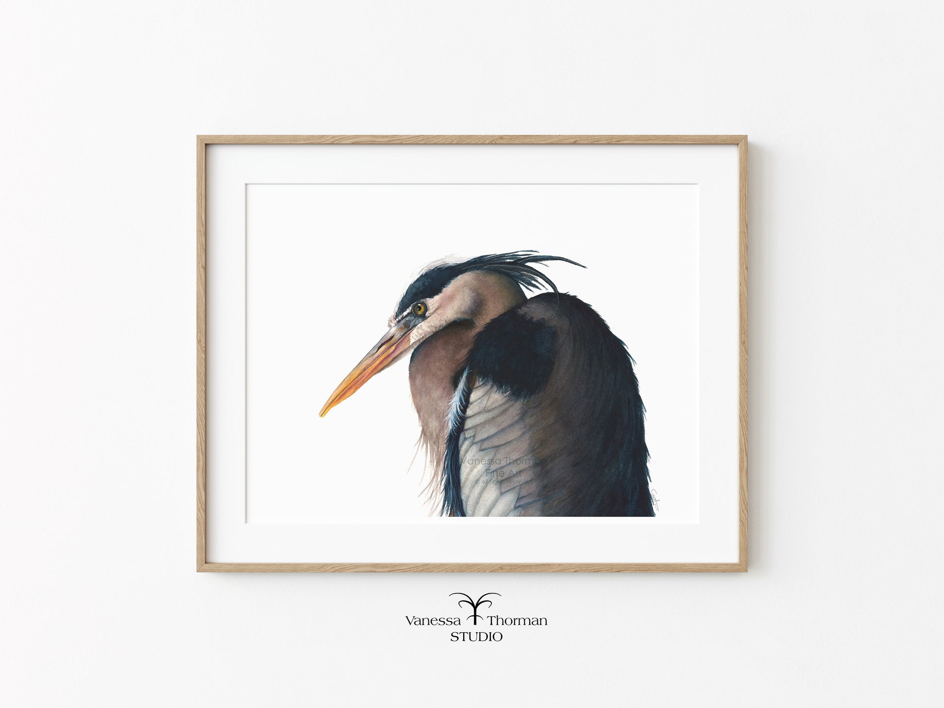 great-blue-heron-watercolor-art-print-1