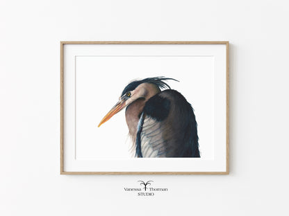 great-blue-heron-watercolor-art-print-1