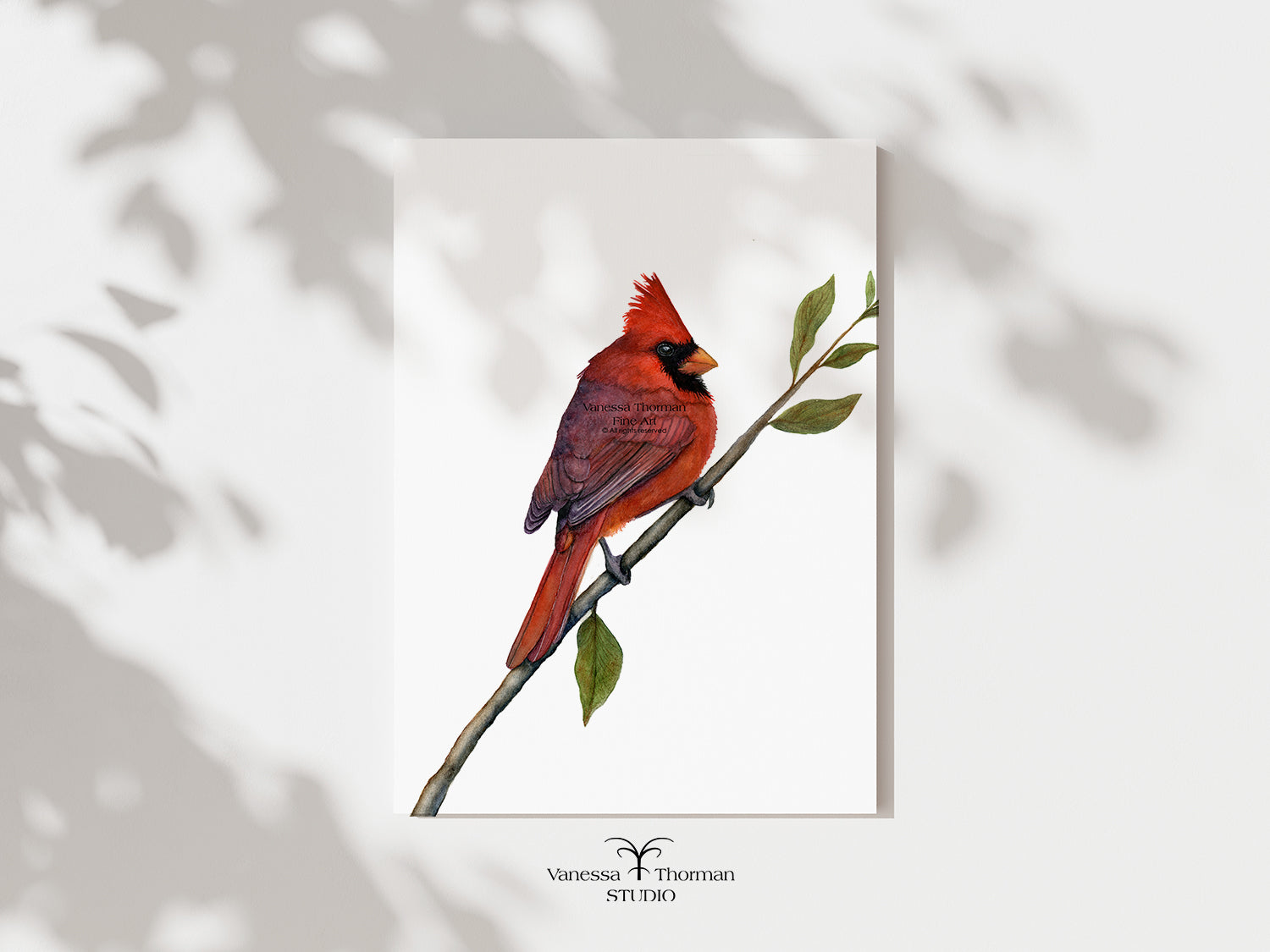 northern-cardinal-watercoor-art-print-1