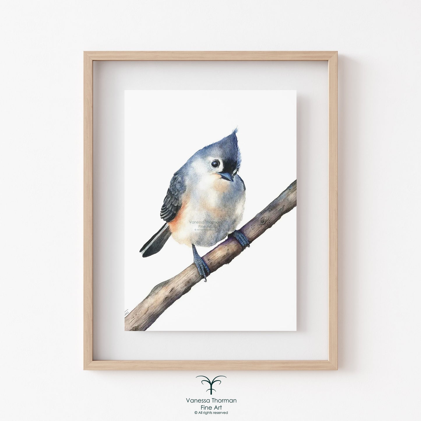 tufted-titmouse-watercolor-art-print-1