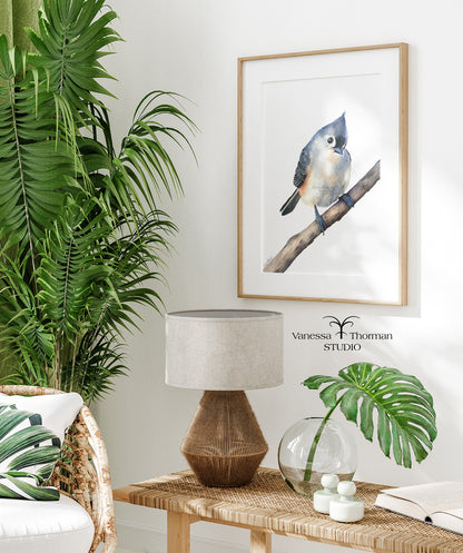tufted-titmouse-watercolor-art-print--1