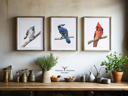 tufted-titmouse-watercolor-art-print--1
