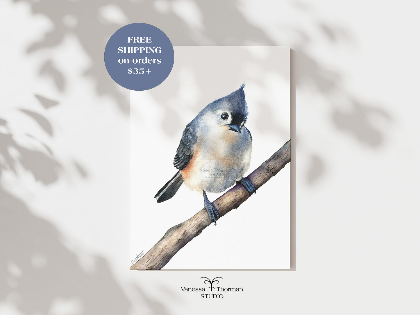tufted-titmouse-watercolor-art-print--1