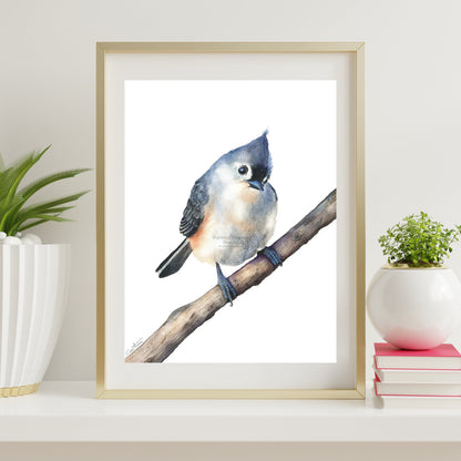 tufted-titmouse-watercolor-art-print--1