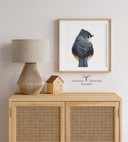 tufted-titmouse-watercolor-art-print-1
