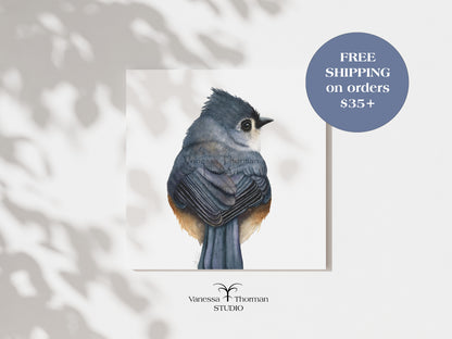 tufted-titmouse-watercolor-art-print-1