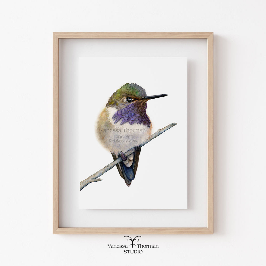 volcano-hummingbird-watercolor-art-print-1