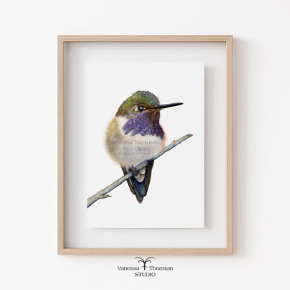 volcano-hummingbird-watercolor-art-print-1
