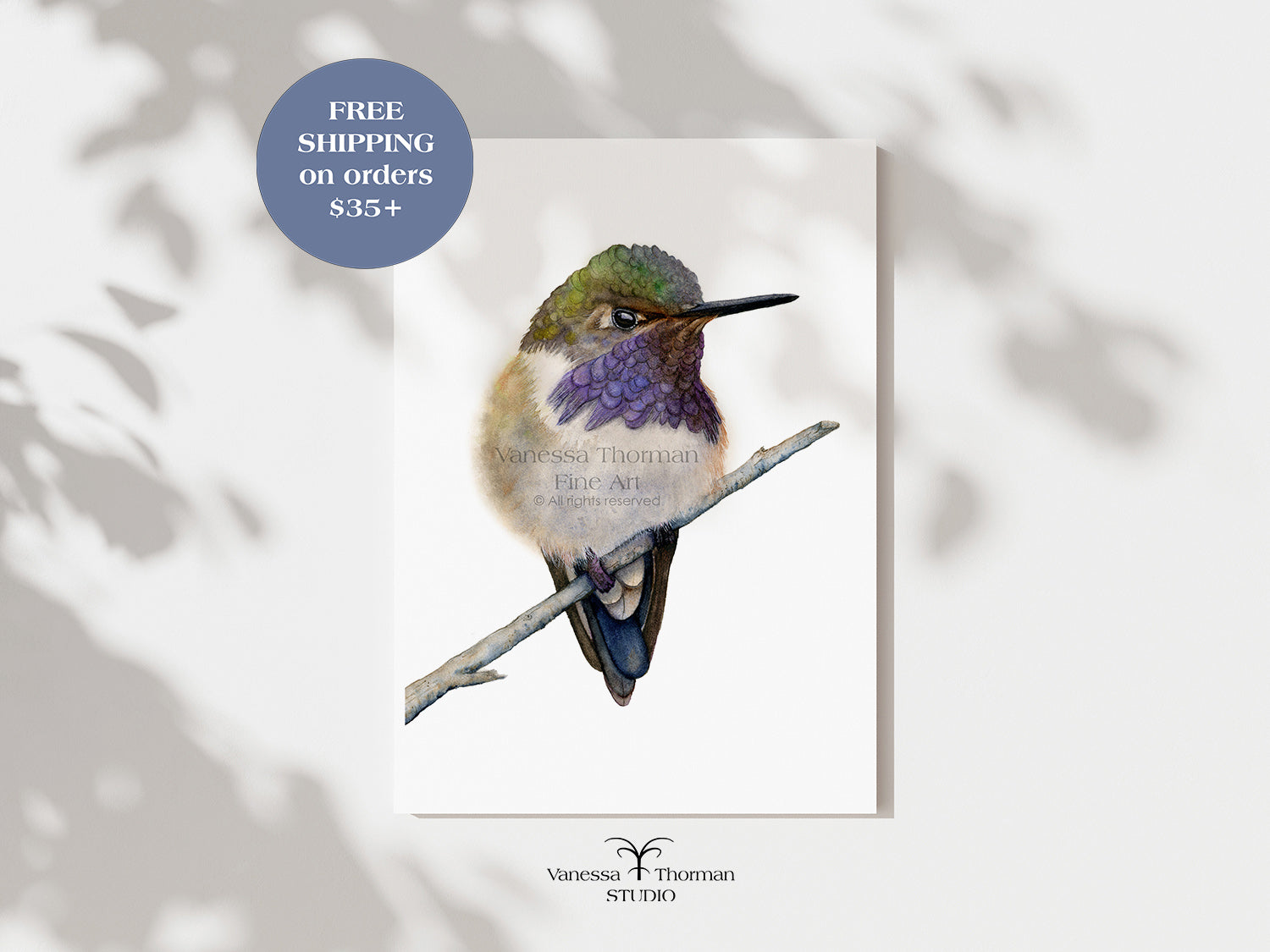 volcano-hummingbird-watercolor-art-print-1